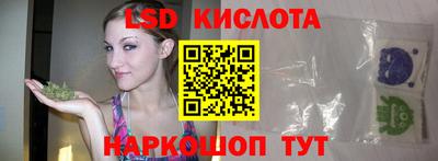 PSILOCYBIN Новокубанск
