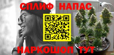 PSILOCYBIN Новокубанск