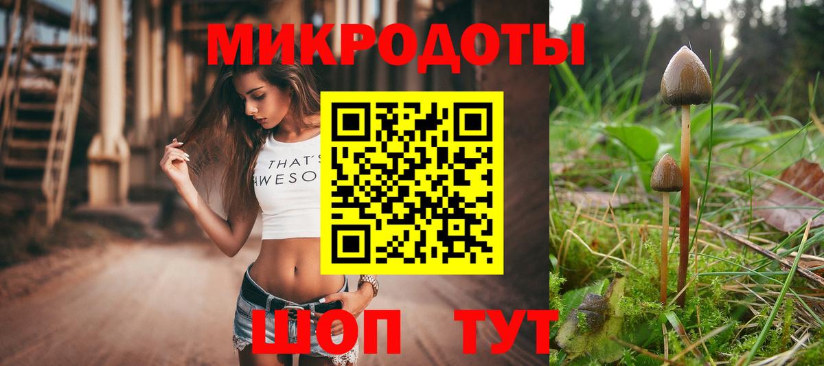 Псилоцибиновые грибы Cubensis  Вход с VPN  Галлюциногенные грибы Magic Shrooms  Черняховск 